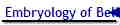 Embryology of Belief