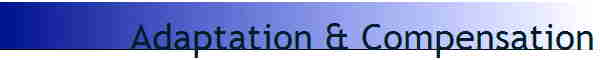 Adaptation & Compensation
