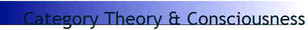 Category Theory & Consciousness