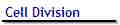 Cell Division