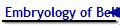 Embryology of Belief