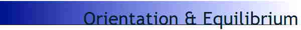 Orientation & Equilibrium