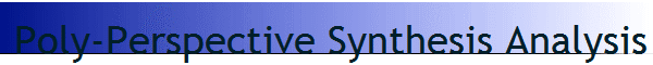 Poly-Perspective Synthesis Analysis