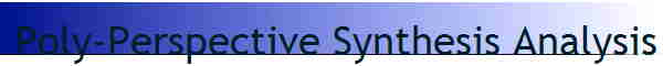 Poly-Perspective Synthesis Analysis