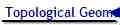 Topological Geometrodynamics: an Overview